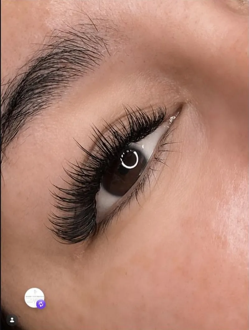 Hybrid lash set by Femme Aesthetika